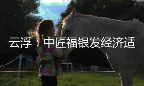 顶，面积0亩中占地云浮银发园封约4适老科技匠福经济